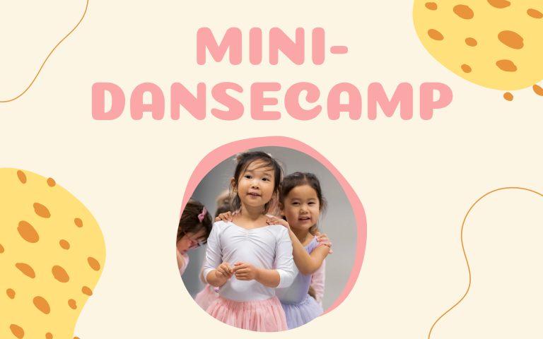 Mini-Dansecamp På NBI Majorstuen